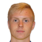 丹尼尔·哈夫斯坦森