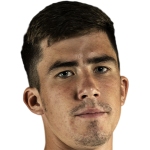 克里斯嘉尼斯·兹维德里斯