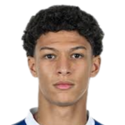 路易·本·法哈特