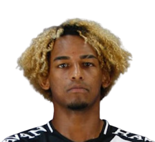 马特乌斯·努内斯·法贡德斯·德·阿劳约