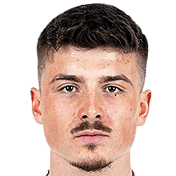 塞米尔·特拉洛维奇