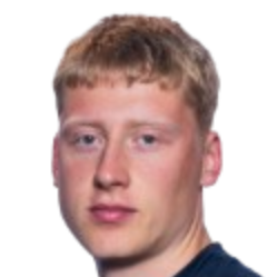 希尔米尔·拉芬·迈克尔森